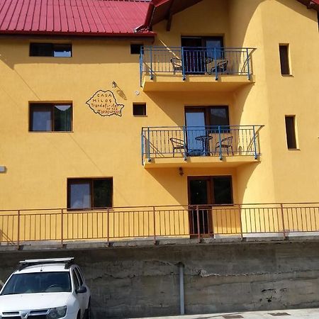 Casa Milos Si Fiul Băile Herculane Eksteriør bilde